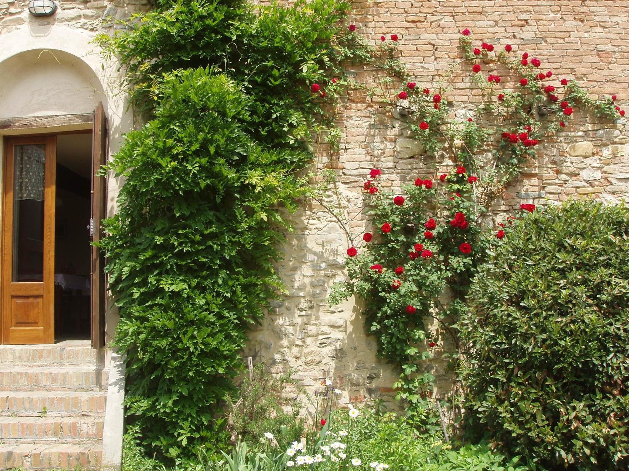 Agriturismo Ca' Bertu' Zappolino Eksteriør bilde